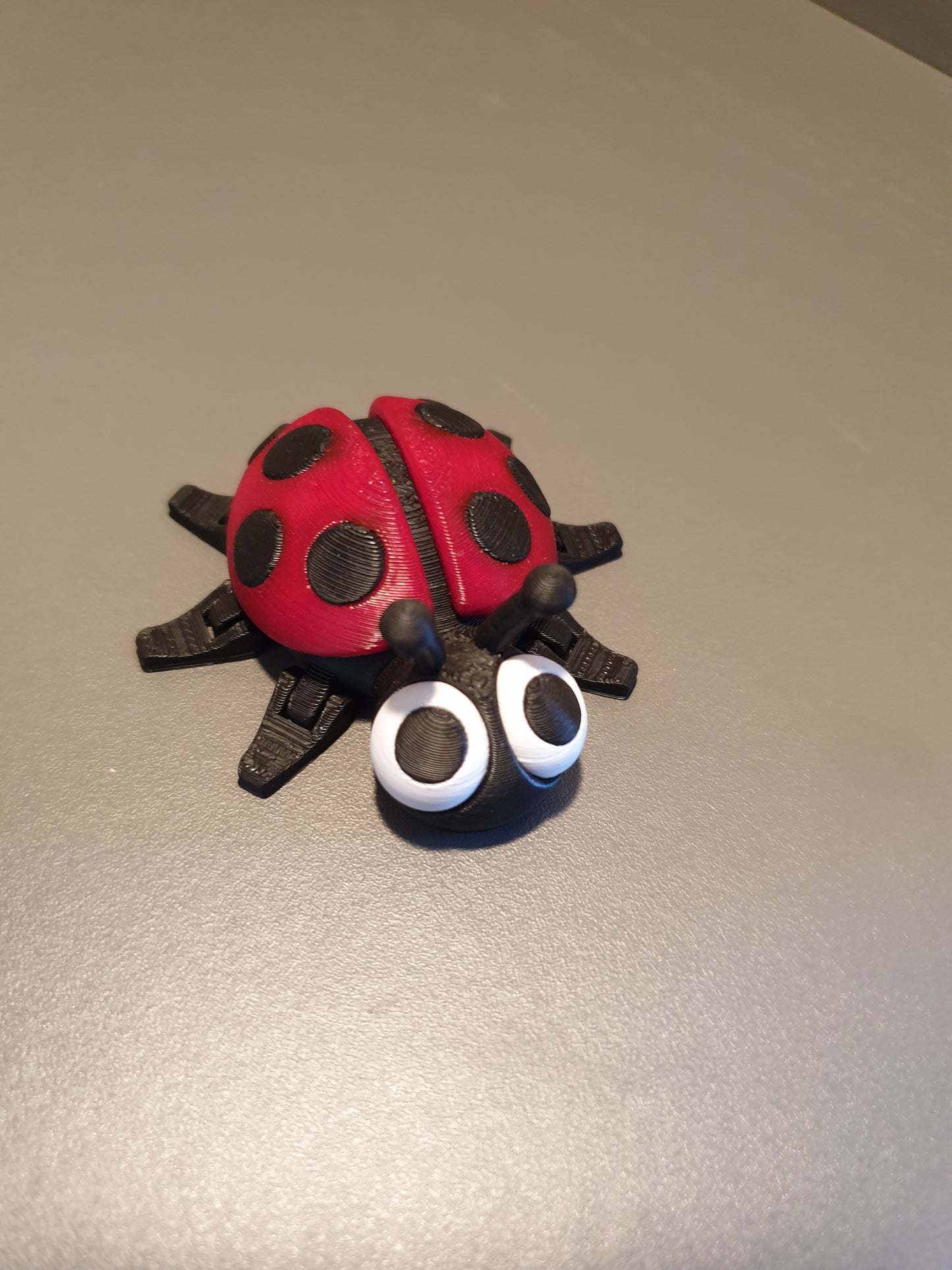 Flexi Ladybird