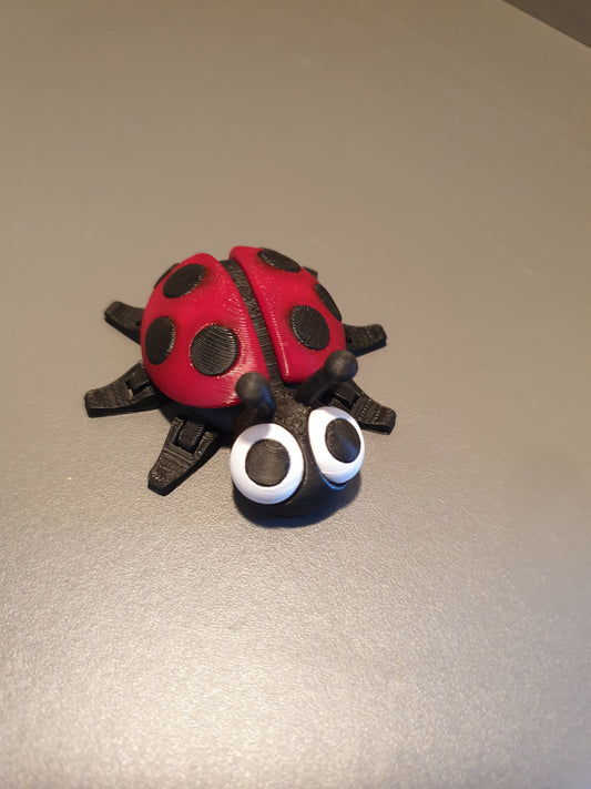 Flexi Ladybird